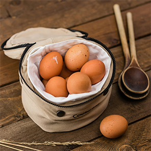 egg