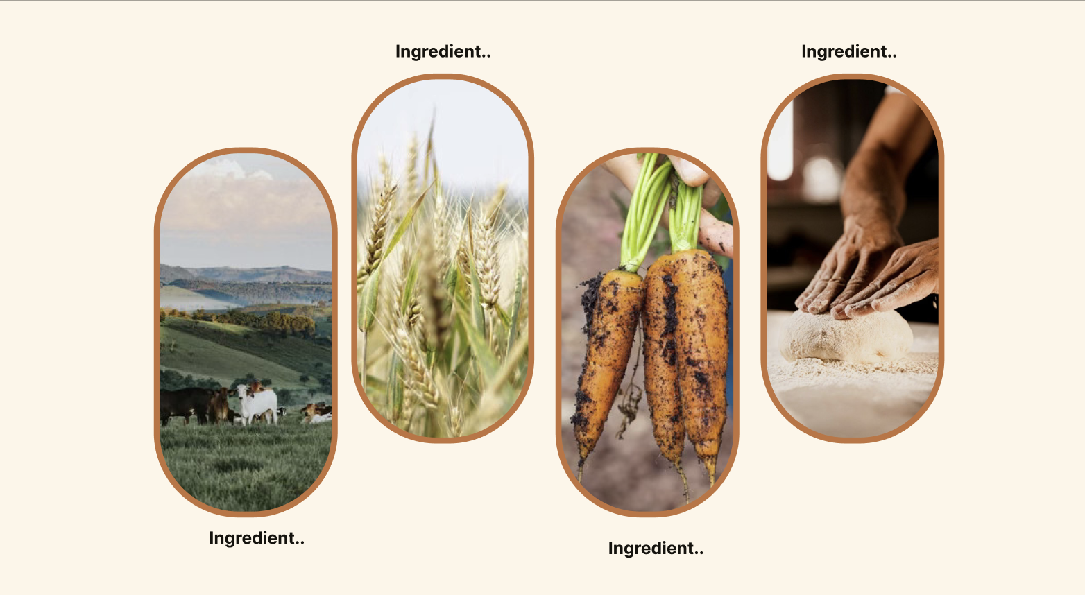 Website banner
